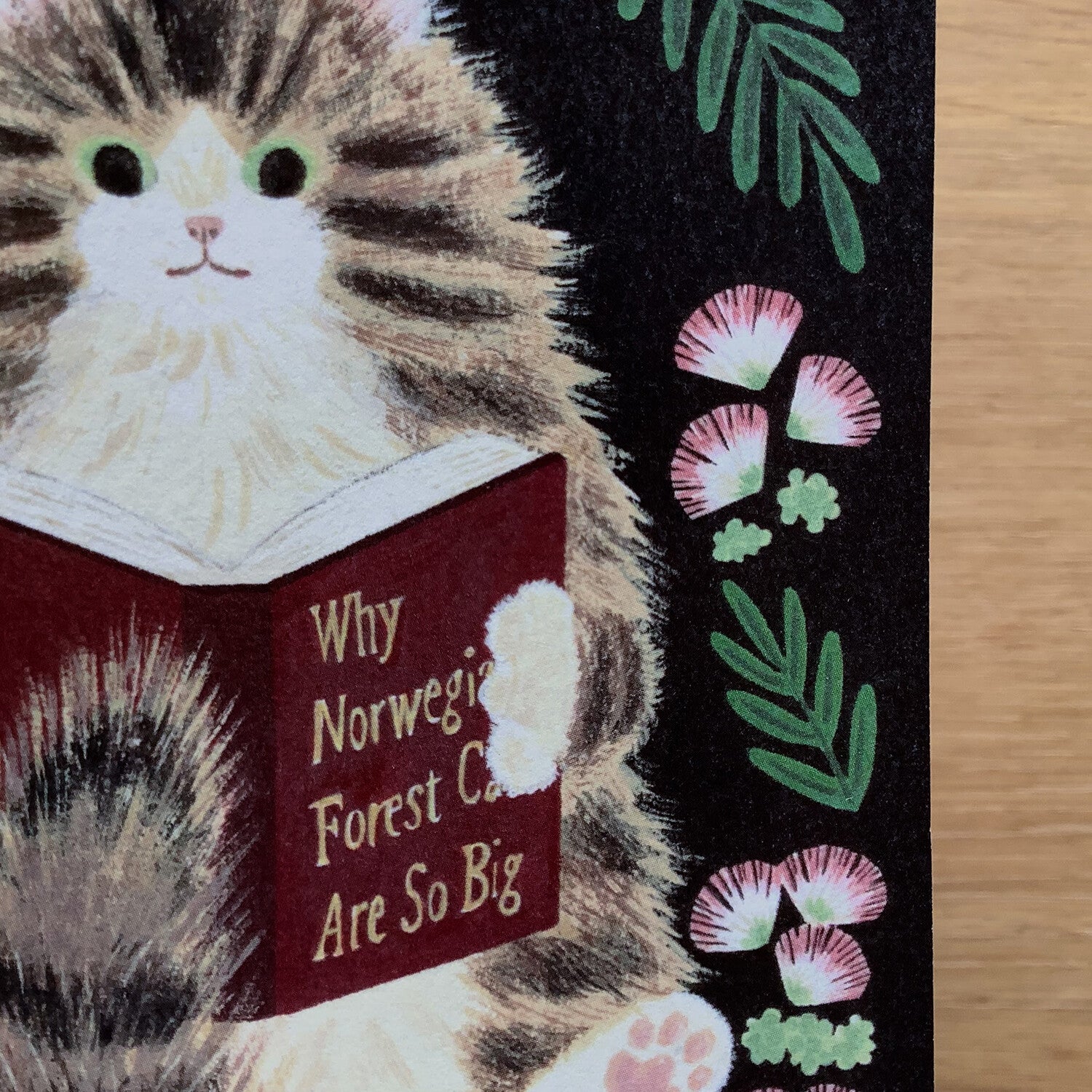 4Legs Postcard: Norwegian Cat Reading a Book