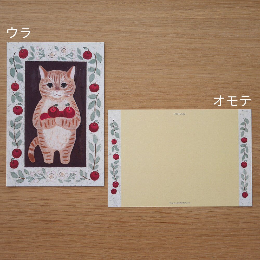 4Legs Postcard: American Shorthair