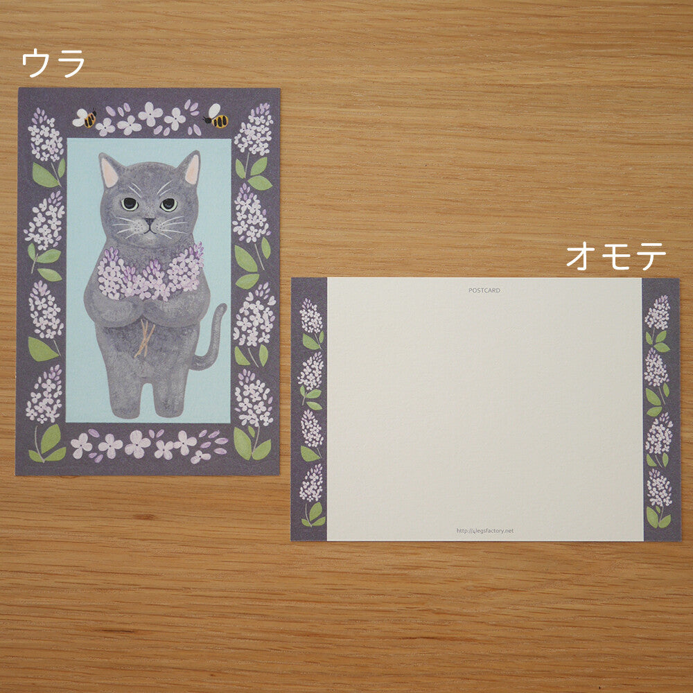 4Legs Postcard: Russian Blue