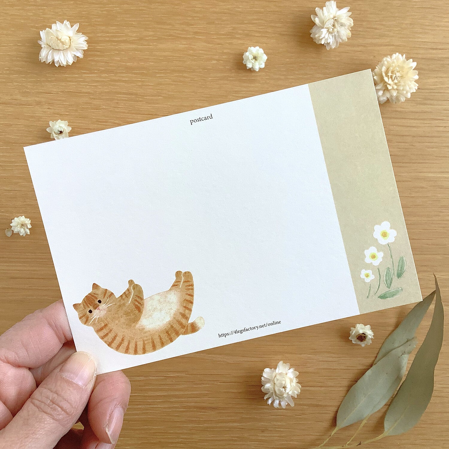 4Legs Postcard: Rub My Belly