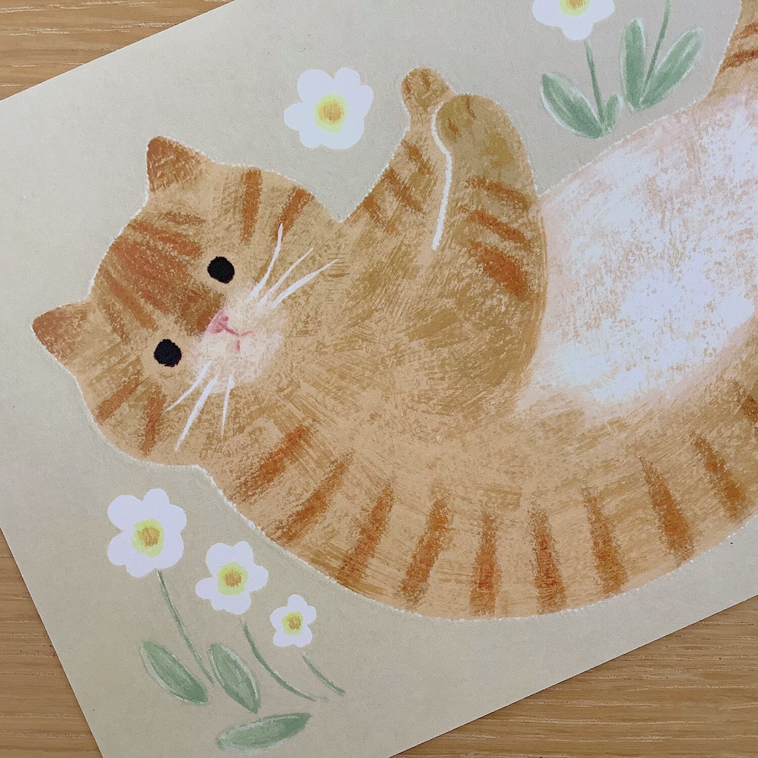 4Legs Postcard: Rub My Belly