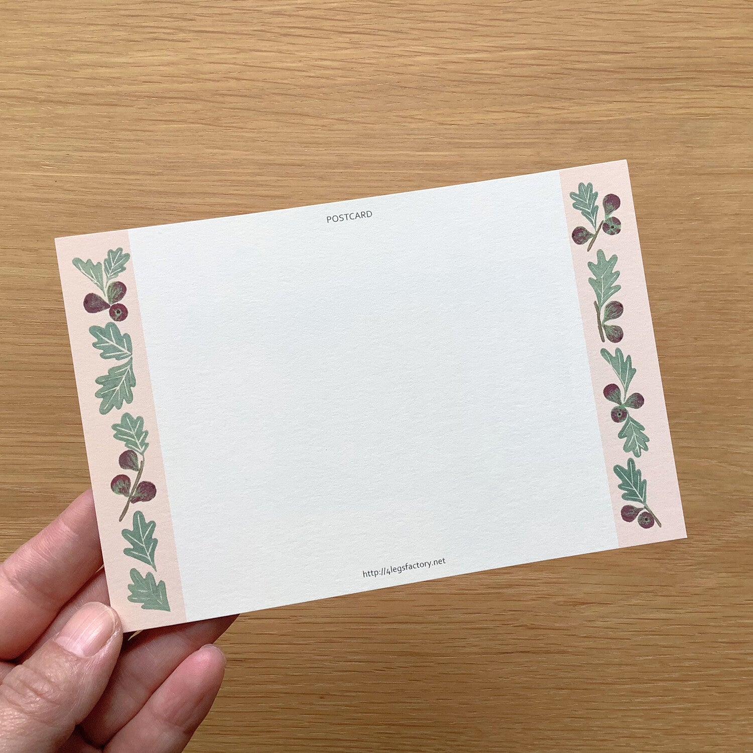 4Legs Postcard: Scottish Fold and Fig Pie