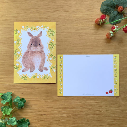 4Legs Postcard: Spring Rabbit