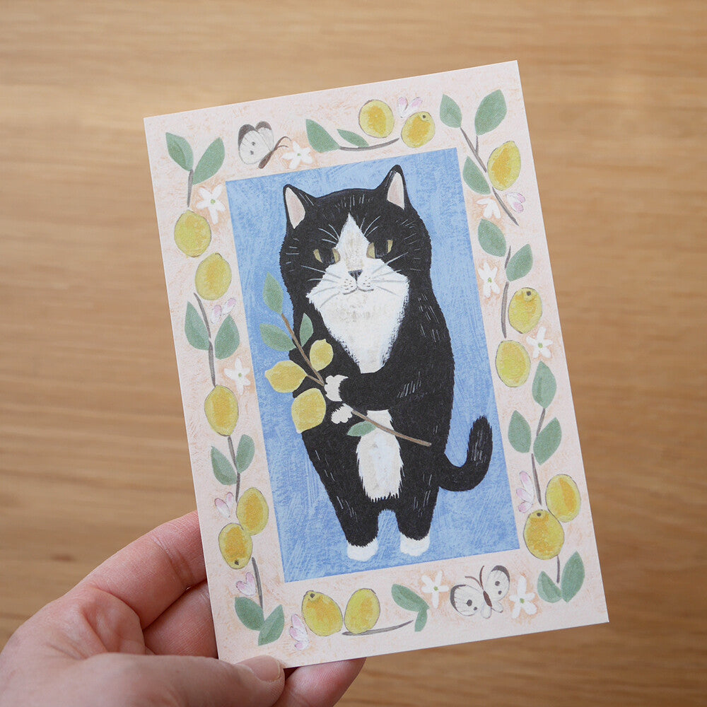 4Legs Postcard: Tuxedo Cat and Lemons
