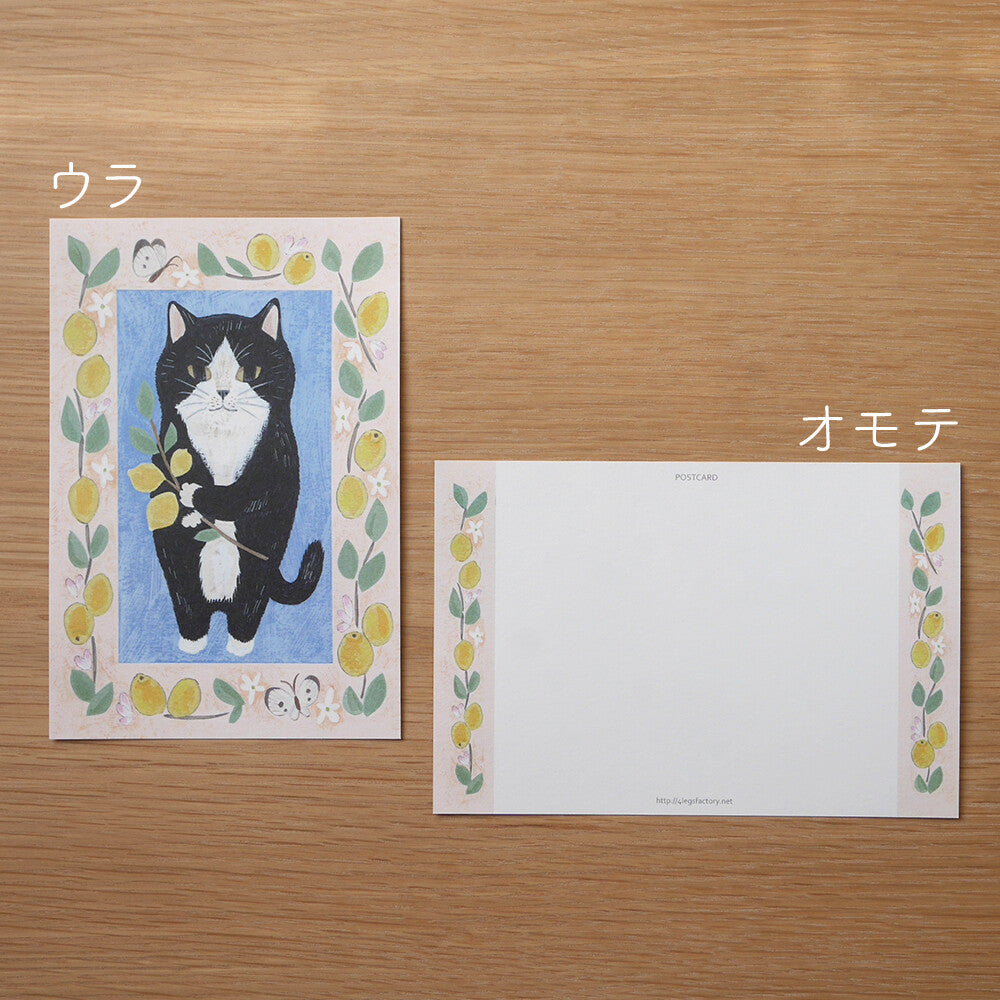 4Legs Postcard: Tuxedo Cat and Lemons