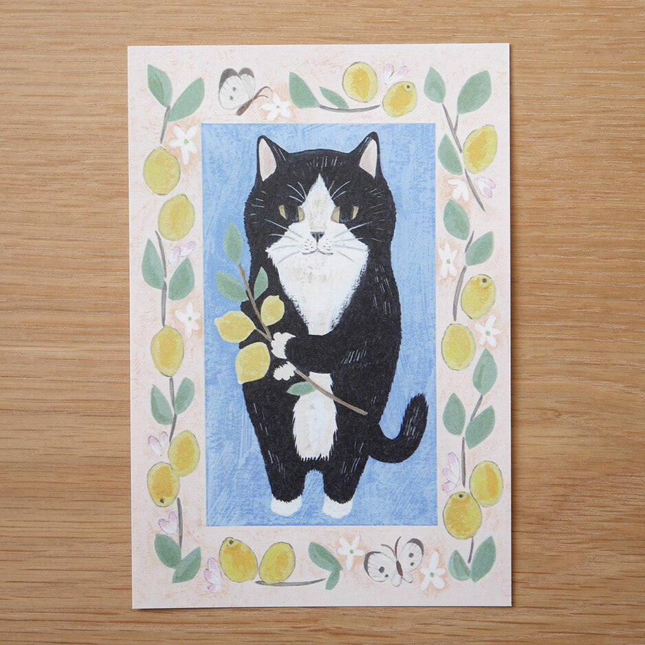 4Legs Postcard: Tuxedo Cat and Lemons