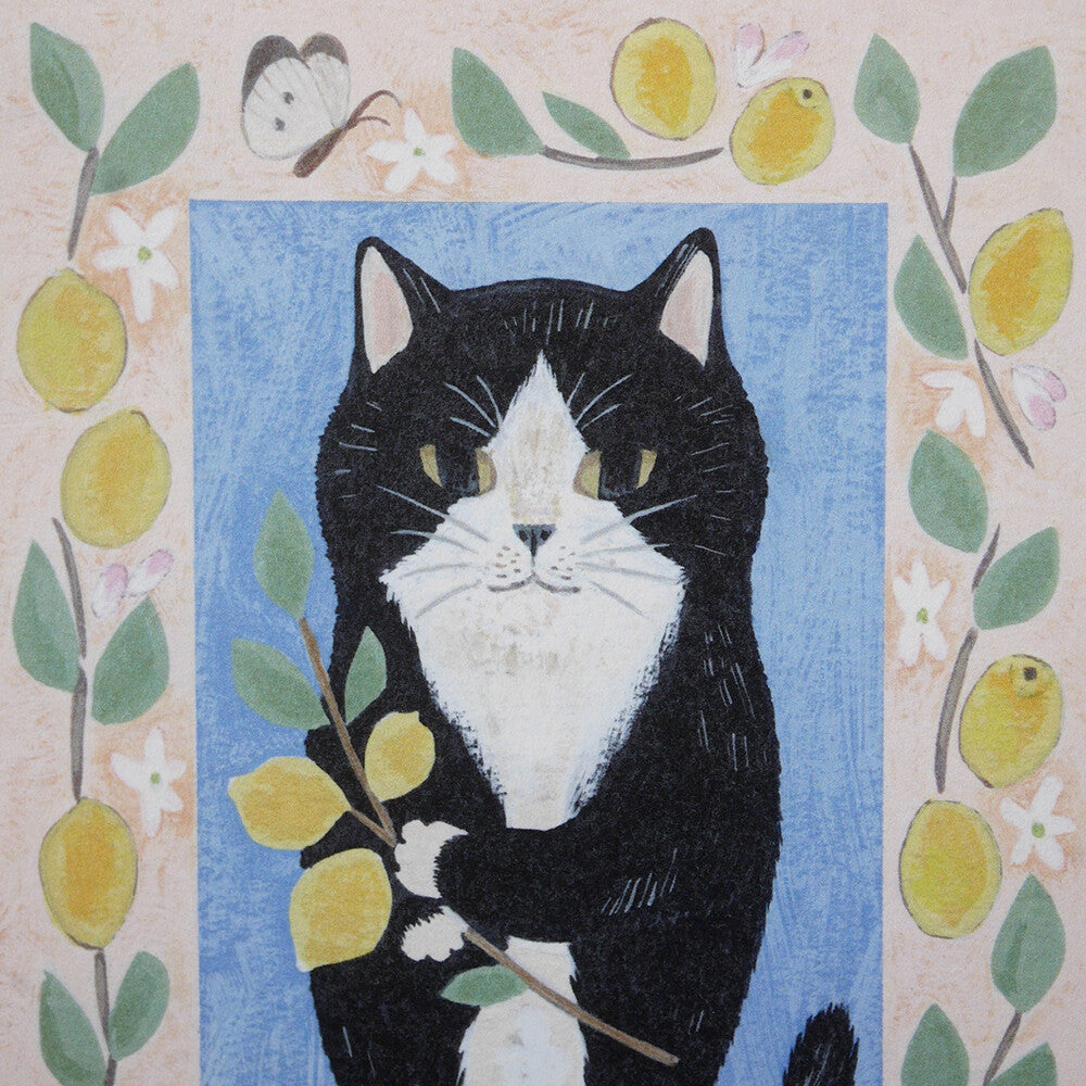 4Legs Postcard: Tuxedo Cat and Lemons