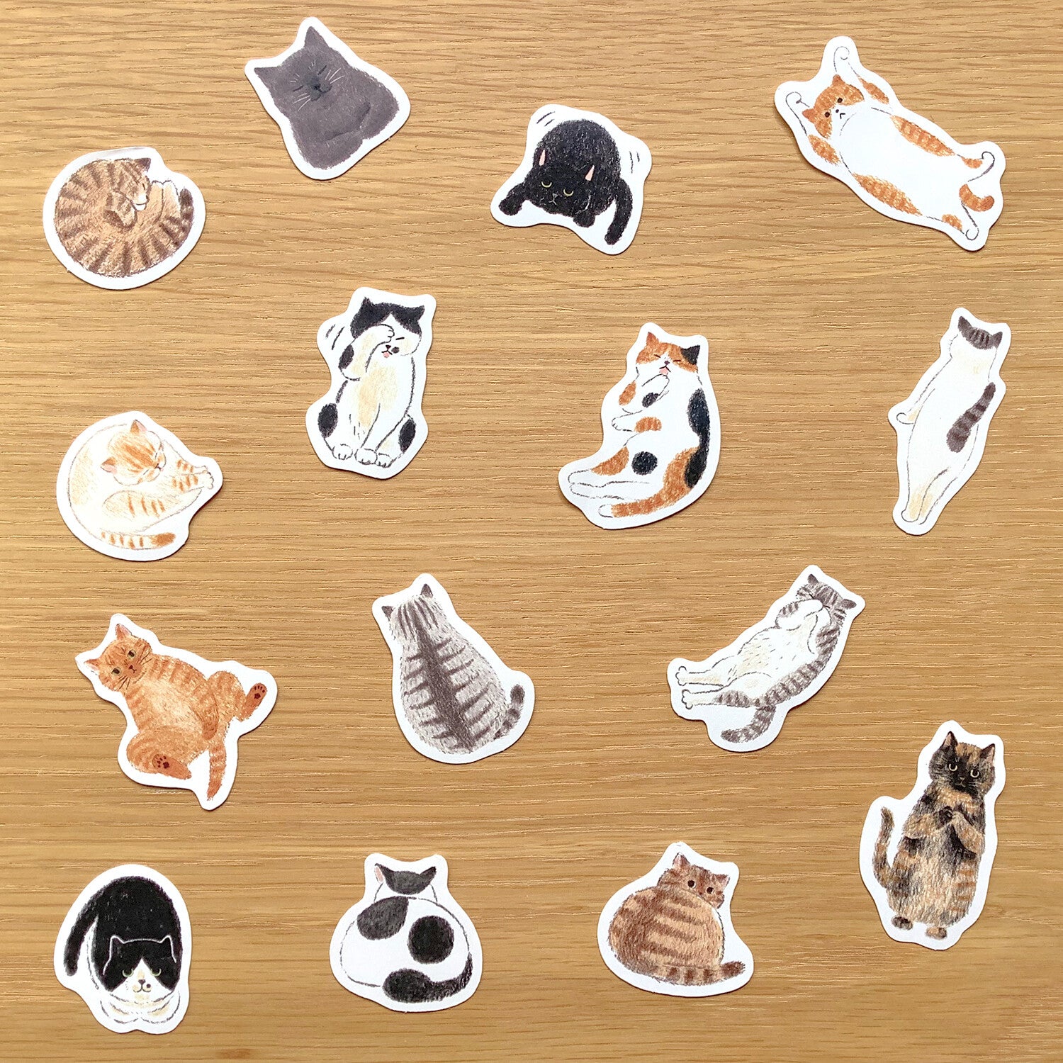4Legs Sticker Pack: We Love Cats