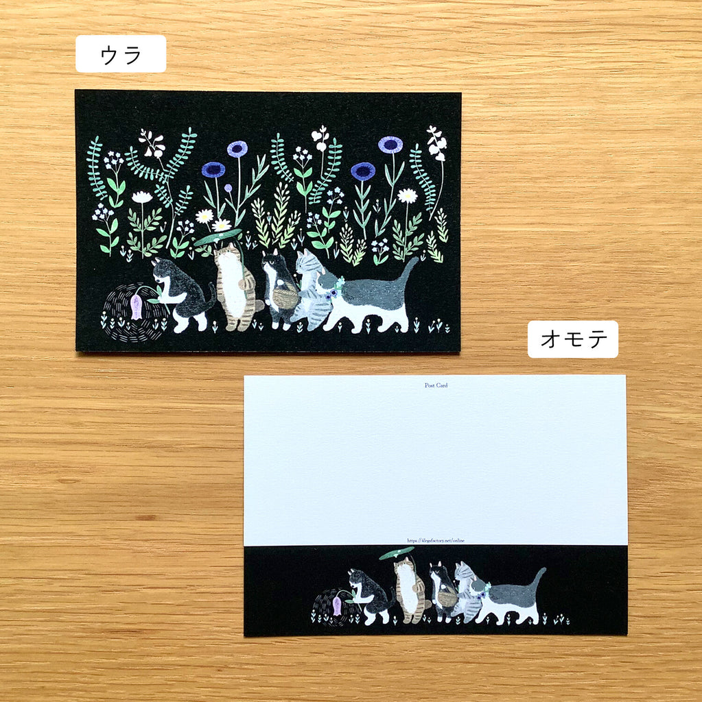 4Legs Postcard: Welcome to the Land of Cats