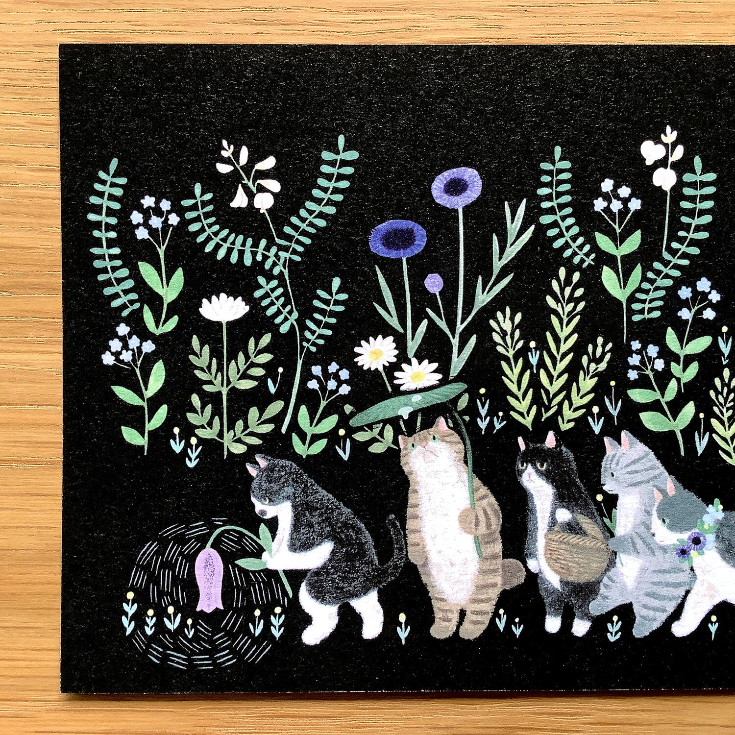 4Legs Postcard: Welcome to the Land of Cats