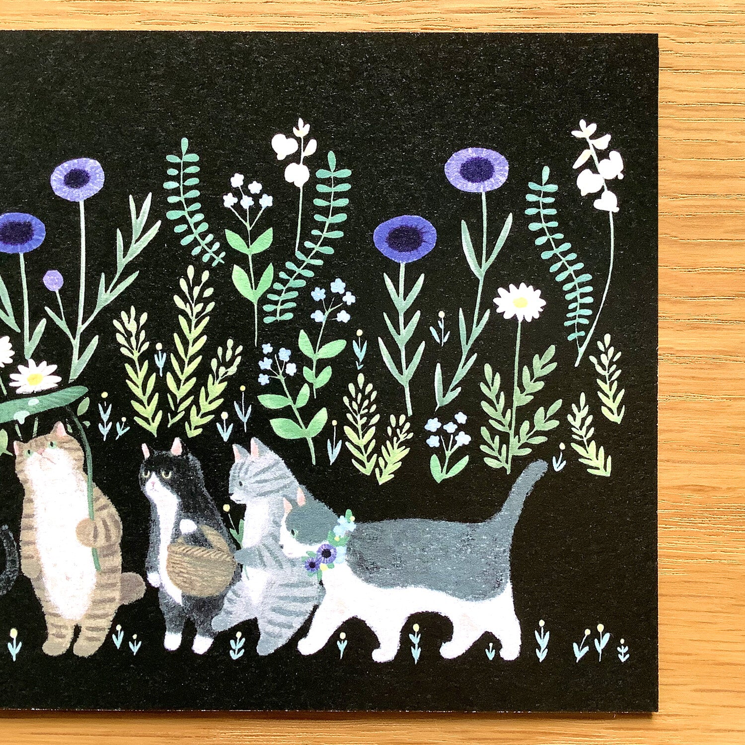 4Legs Postcard: Welcome to the Land of Cats