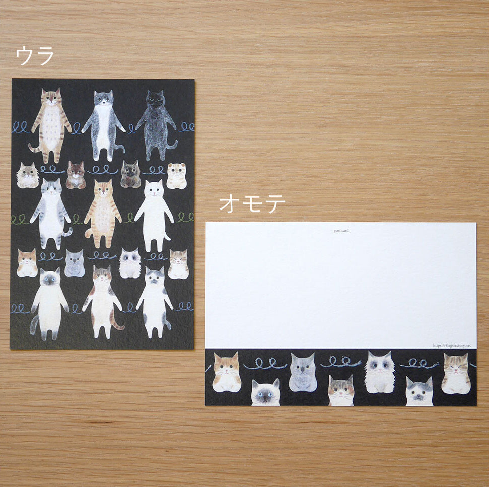 4Legs Postcard: Cat Connection