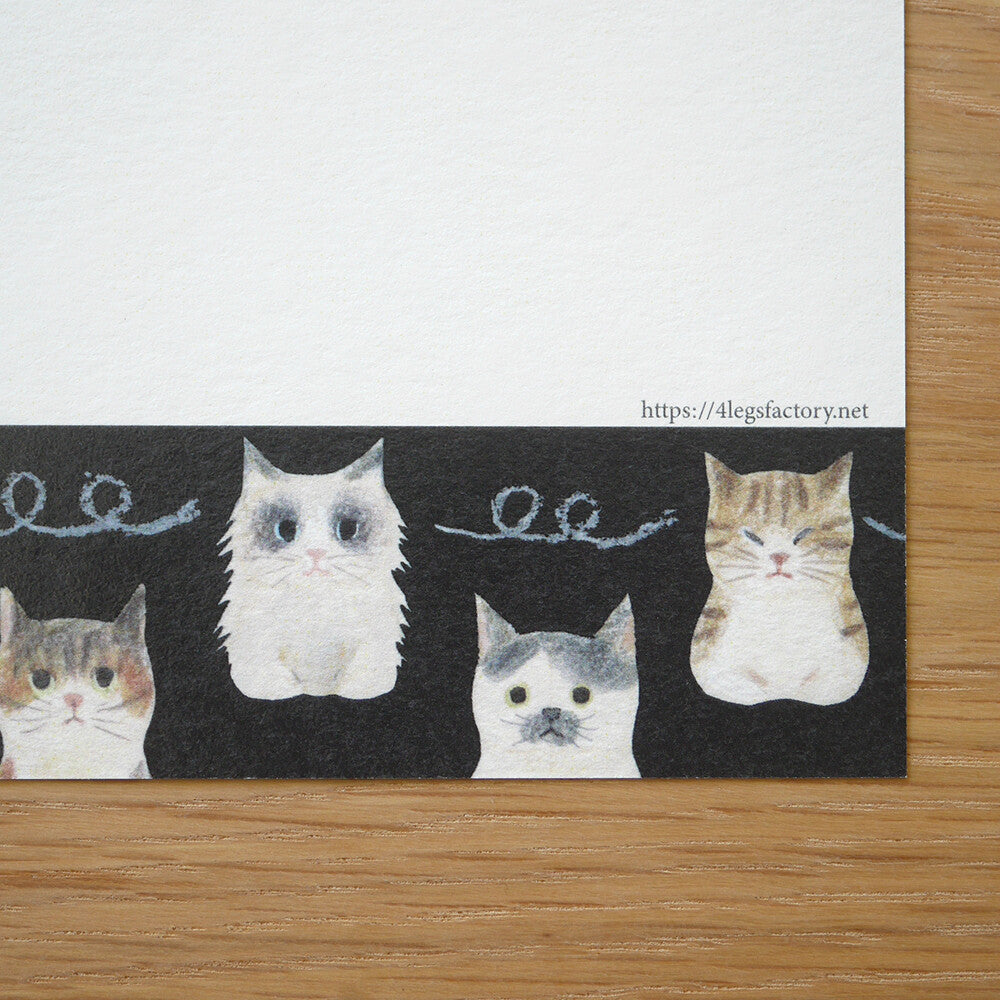 4Legs Postcard: Cat Connection