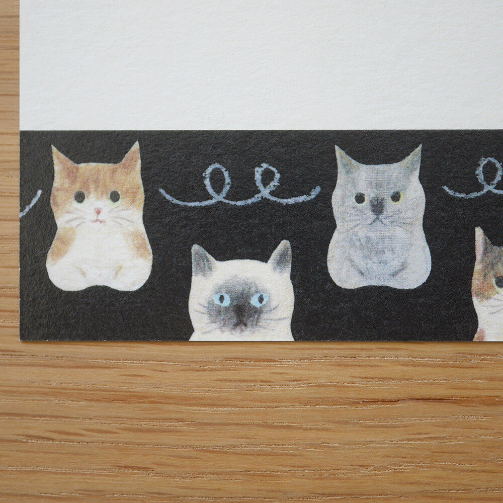 4Legs Postcard: Cat Connection