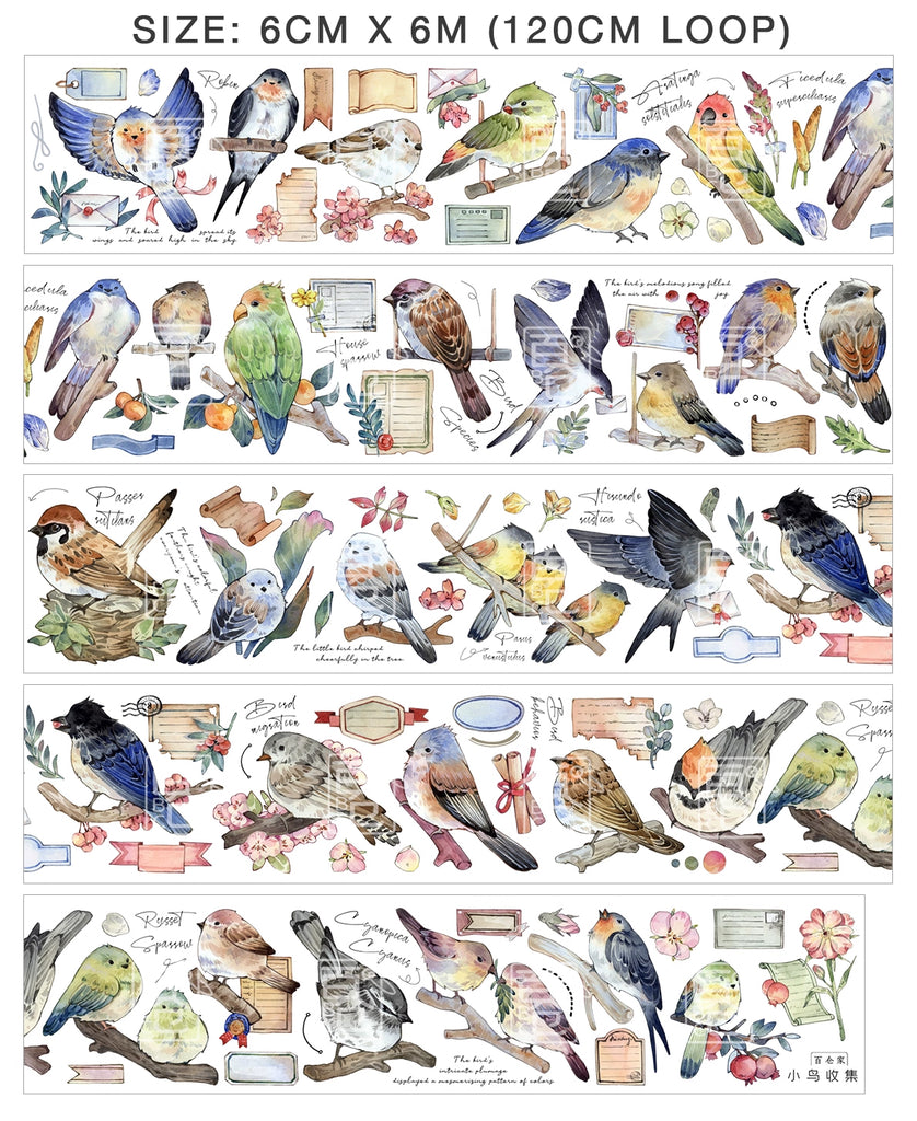 BCJ Masking Tape: Birds Encyclopedia