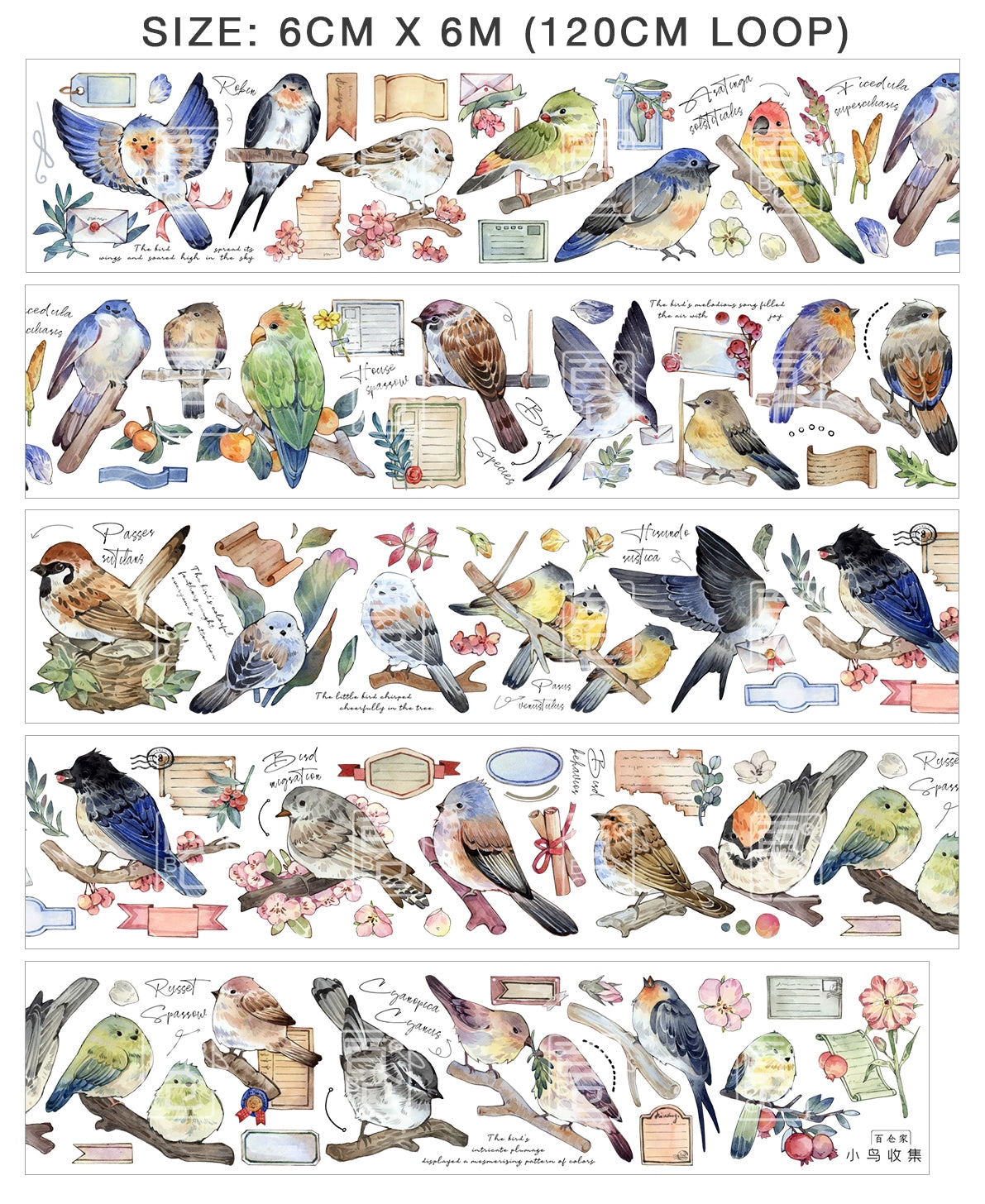 BCJ Masking Tape: Birds Encyclopedia