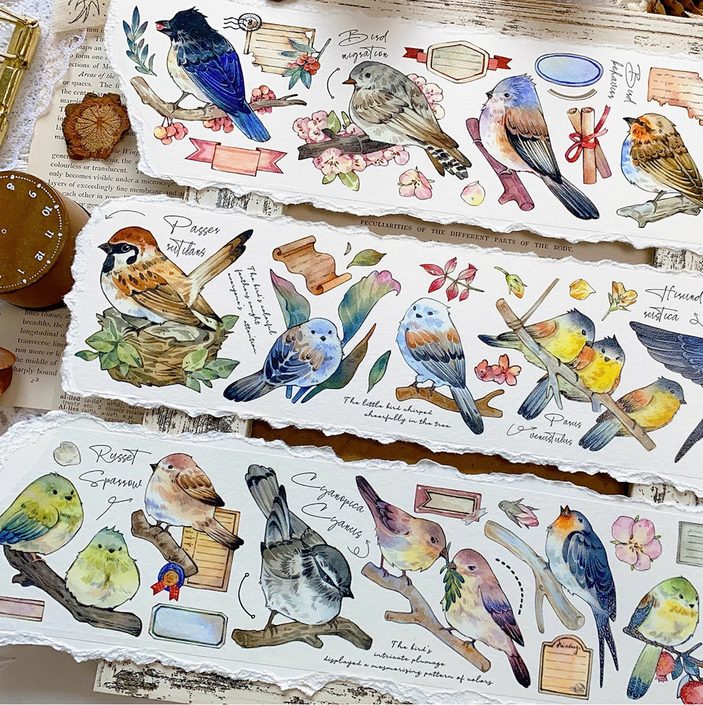 BCJ Masking Tape: Birds Encyclopedia
