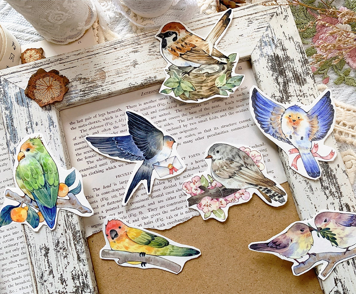 BCJ Masking Tape: Birds Encyclopedia