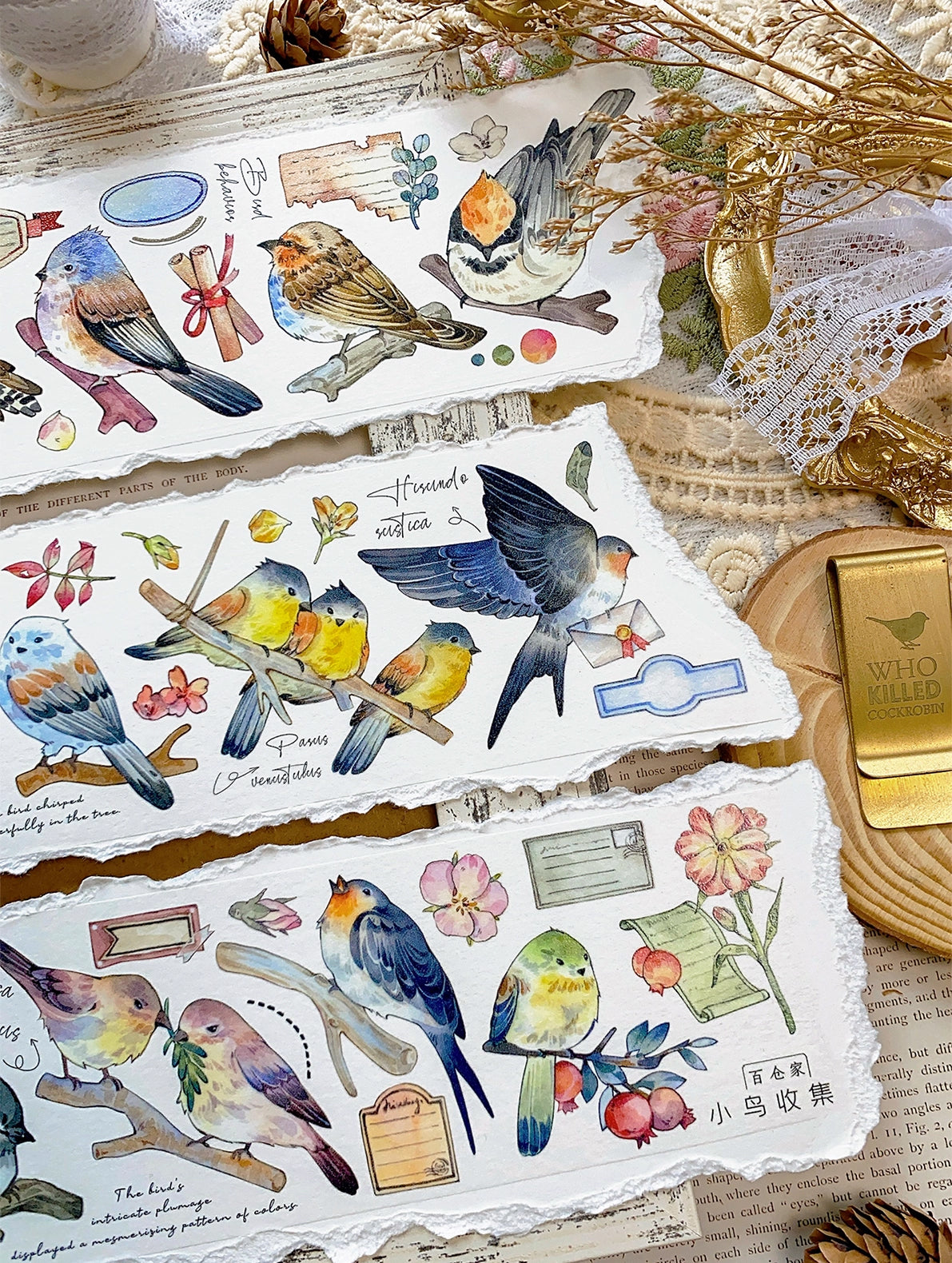 BCJ Masking Tape: Birds Encyclopedia