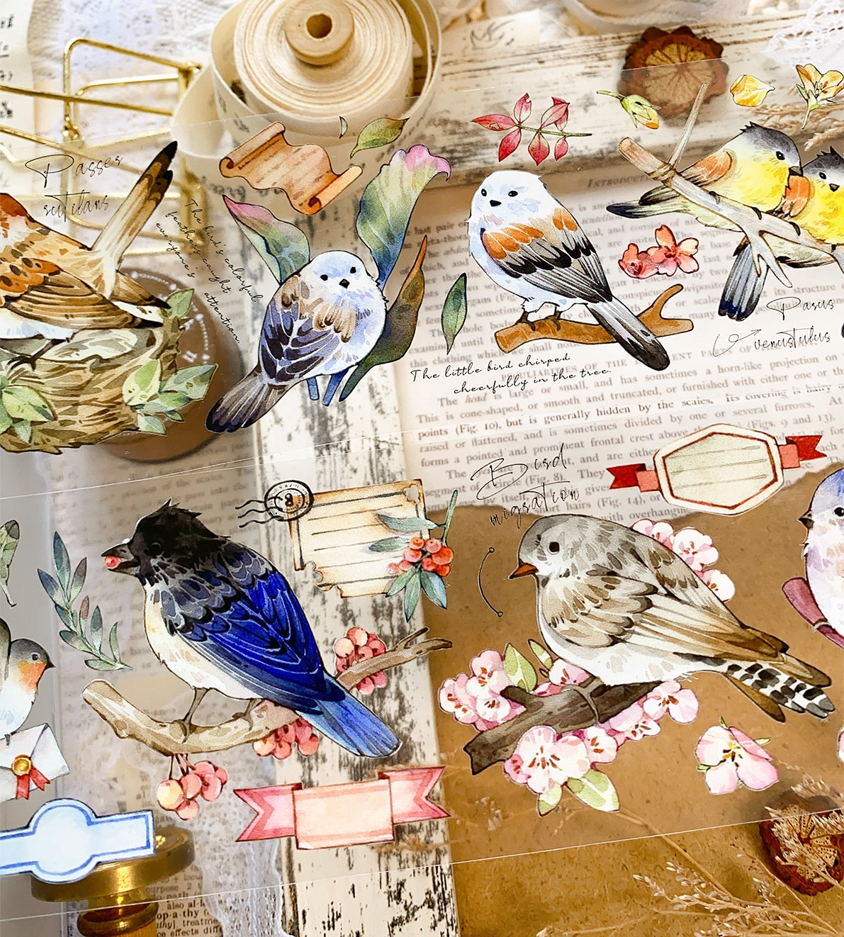 BCJ Masking Tape: Birds Encyclopedia