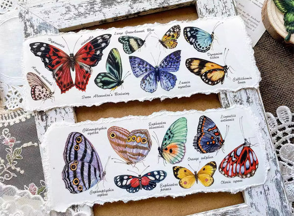 BCJ Masking Tape: Butterfly Collection