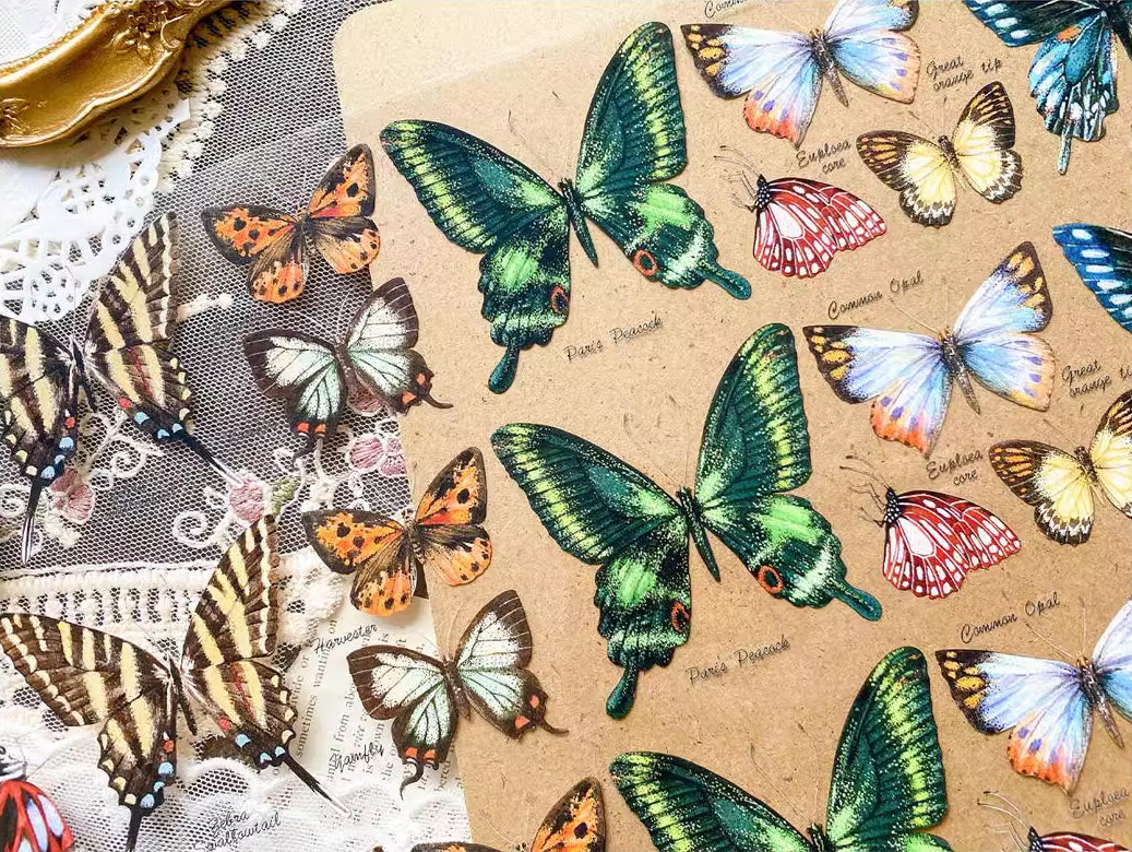 BCJ Masking Tape: Butterfly Collection