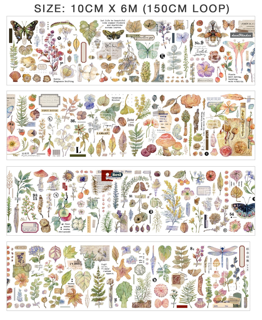 BCJ Sticker Tape: Plants Encyclopedia
