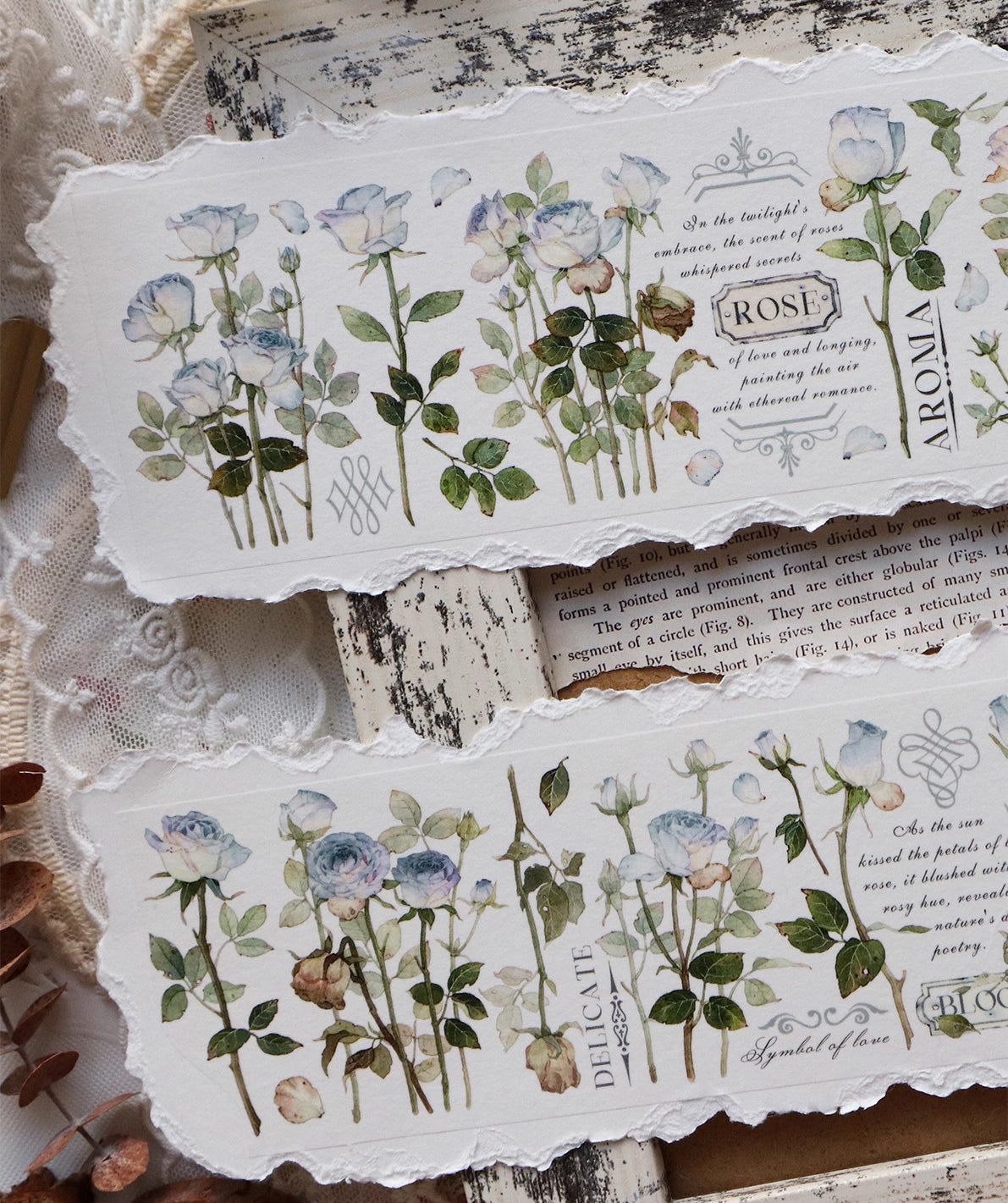 BCJ Masking Tape: Winter Rose