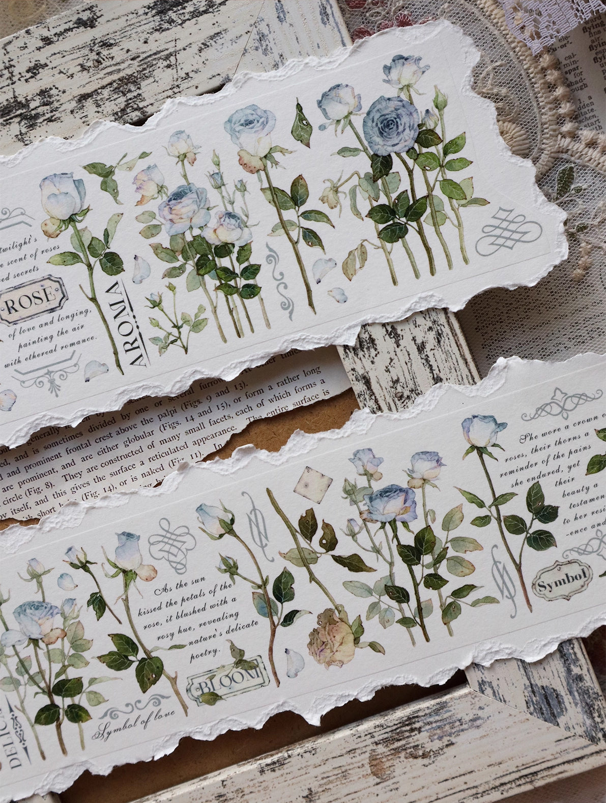 BCJ Masking Tape: Winter Rose