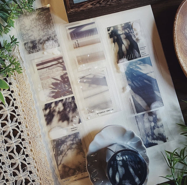 Colorless Bloom Masking Tapes: Light and Shadows