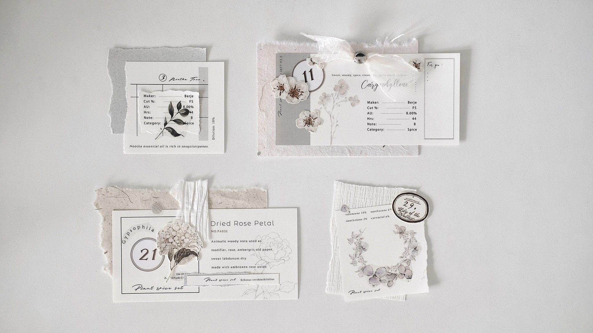 Freckles Tea Memo Paper: Plant Spice