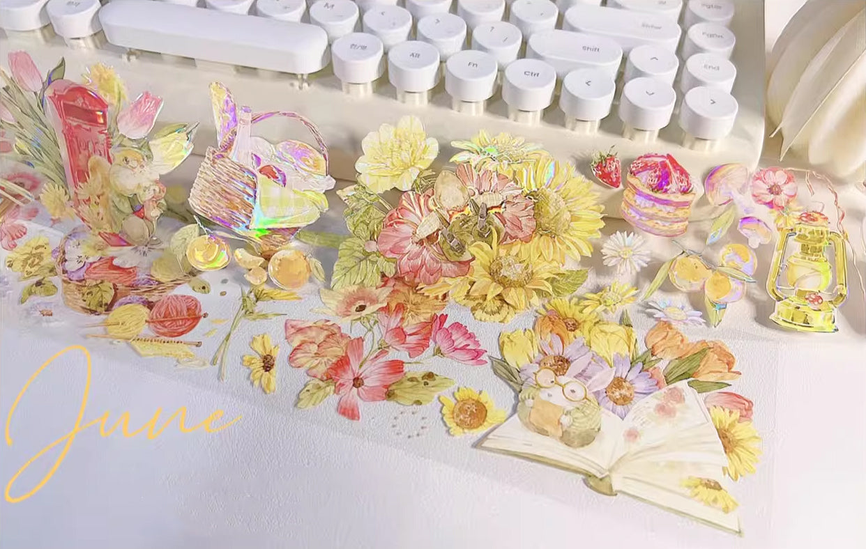 Hakiso Studio Masking Tape: Summer Bloom
