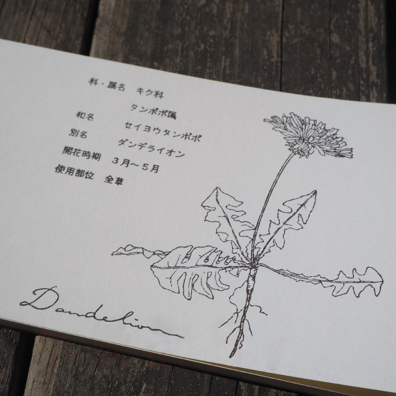 Hutte Memo Pad: Botanical Illustration