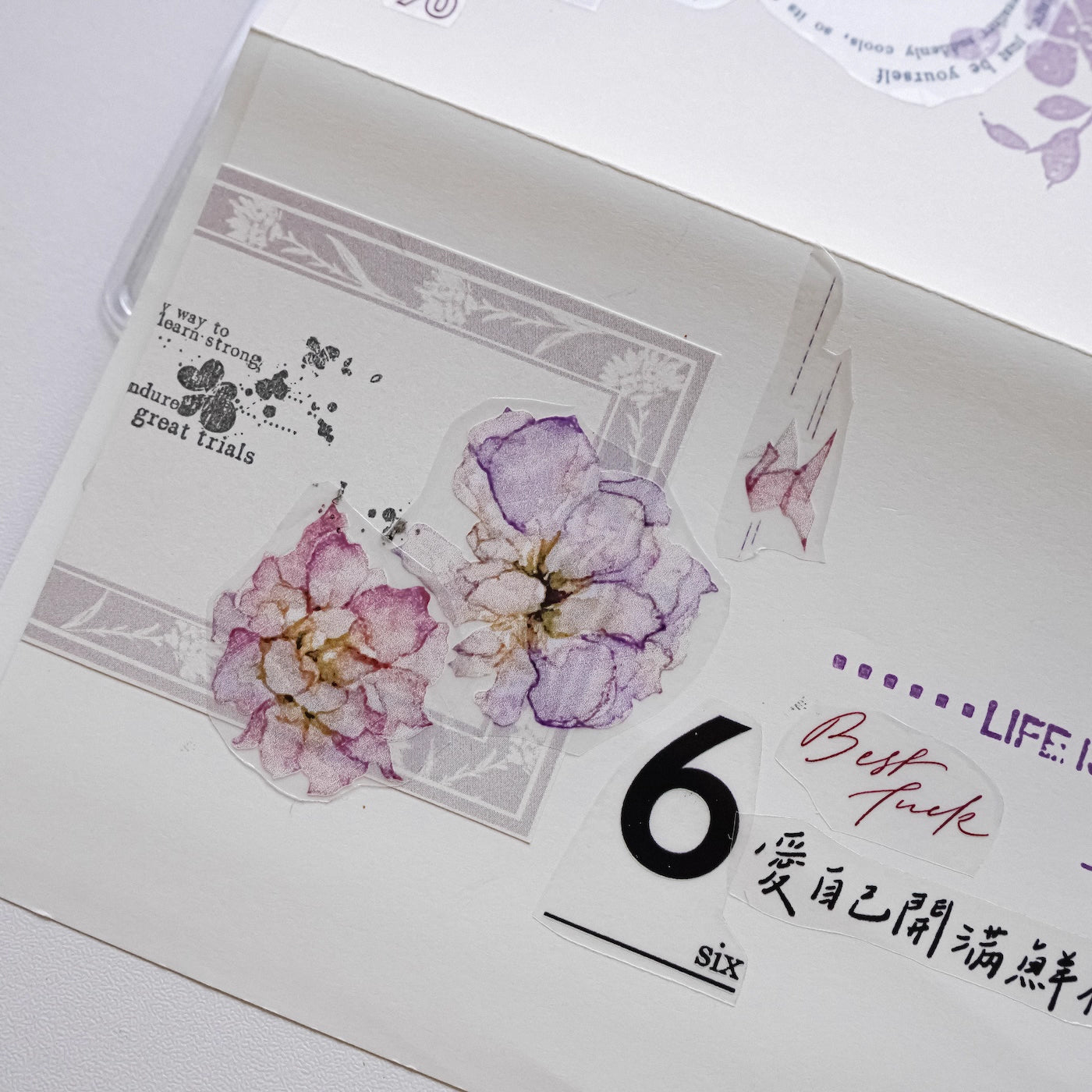 Jennyuanzi Memo Paper: Volume 7