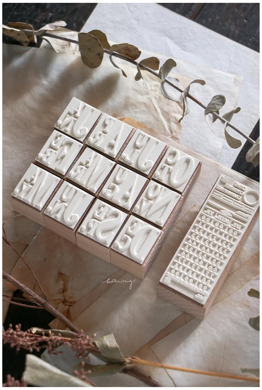 LCN Design Studio: Tickets A Stamps Set