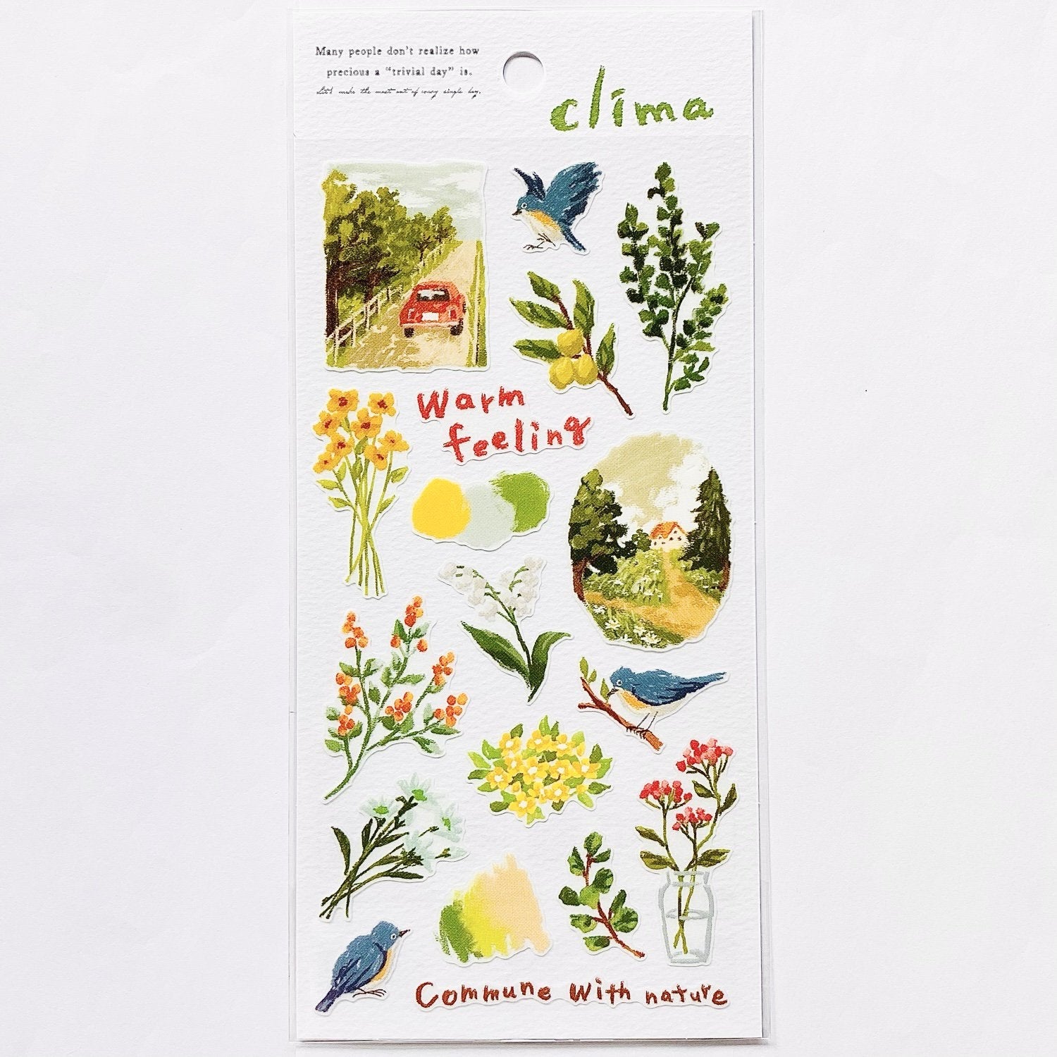 Botanical and Vintage Themed Rub On Stickers – Papergame