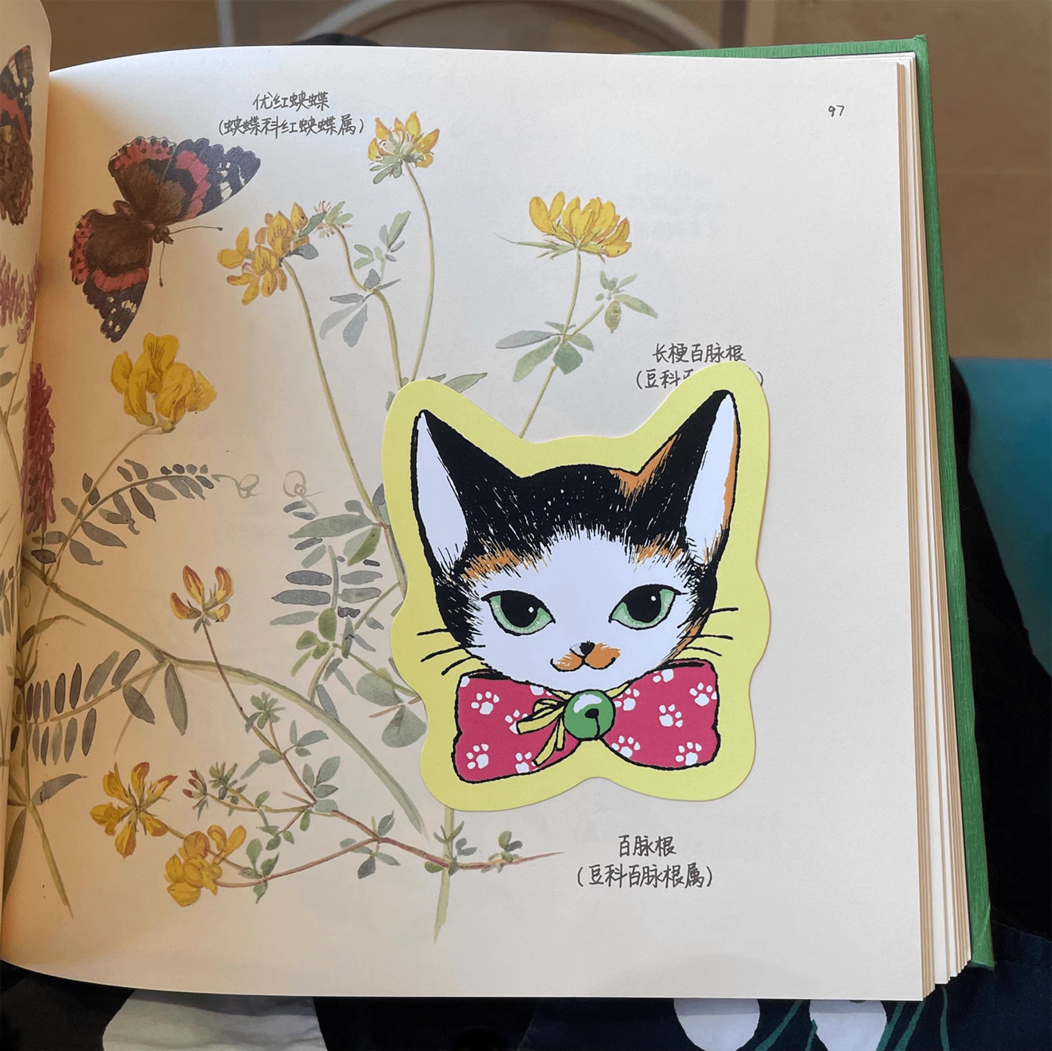 Nekocha Postcards: Cat Portraits