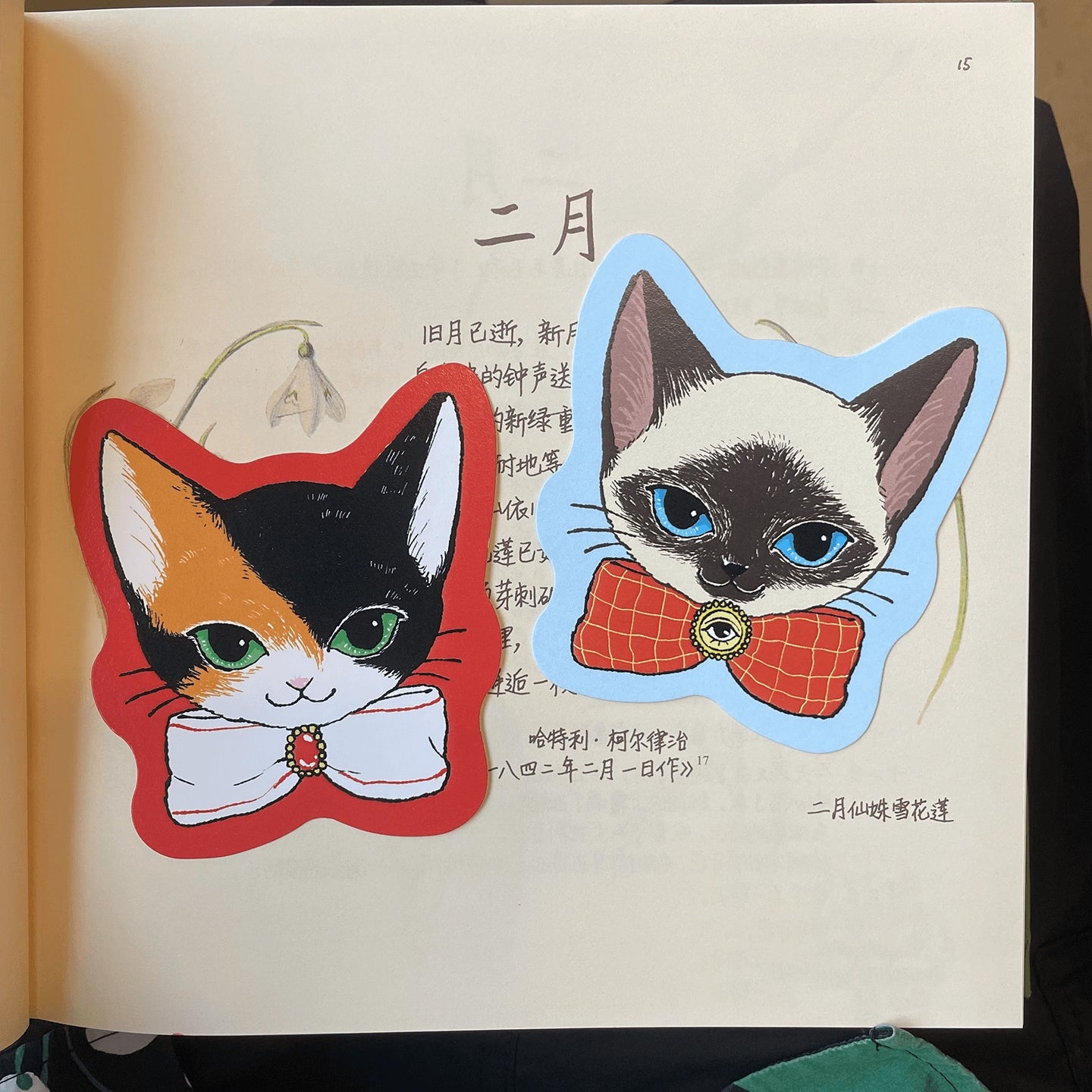 Nekocha Postcards: Cat Portraits