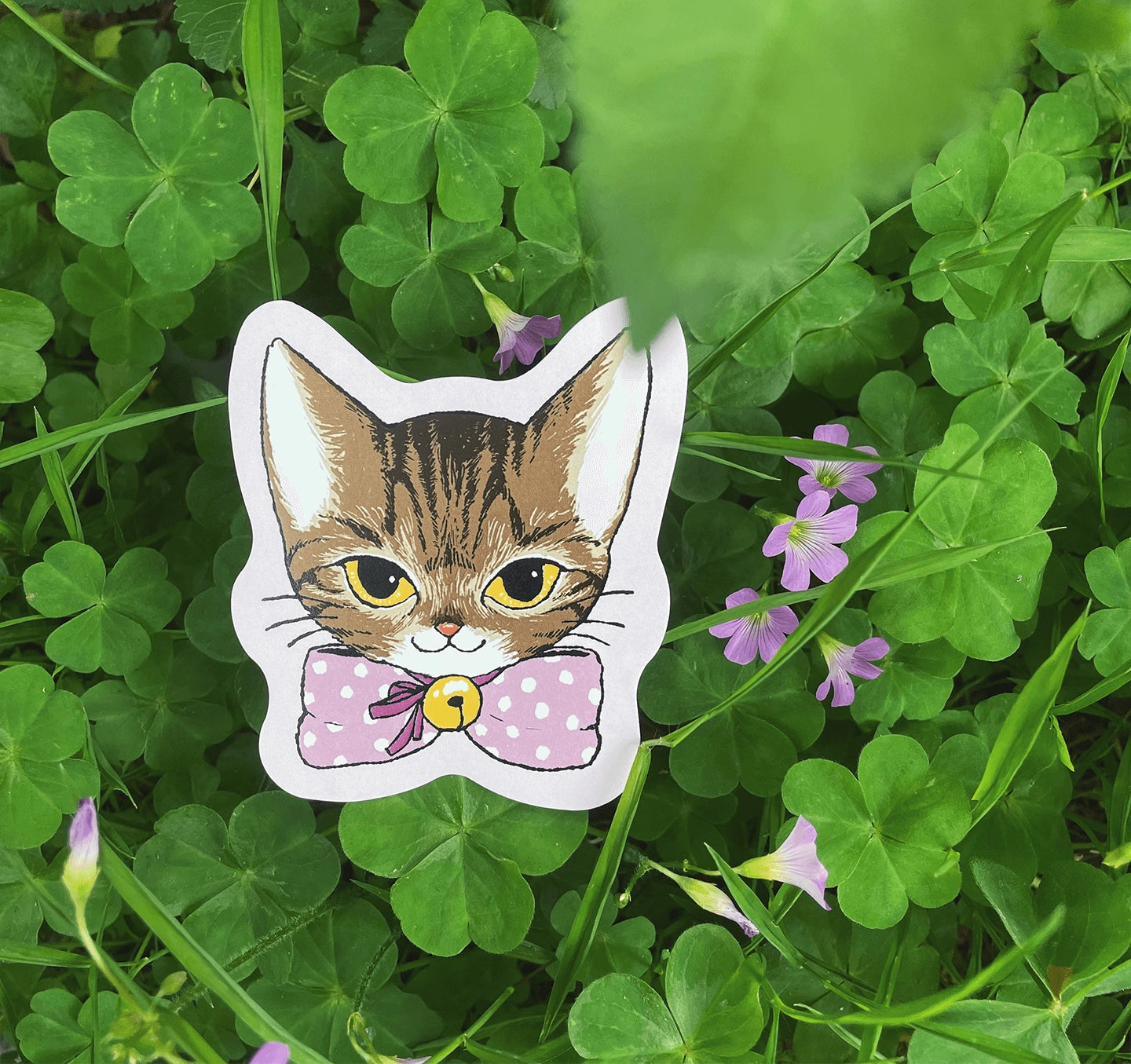 Nekocha Postcards: Cat Portraits
