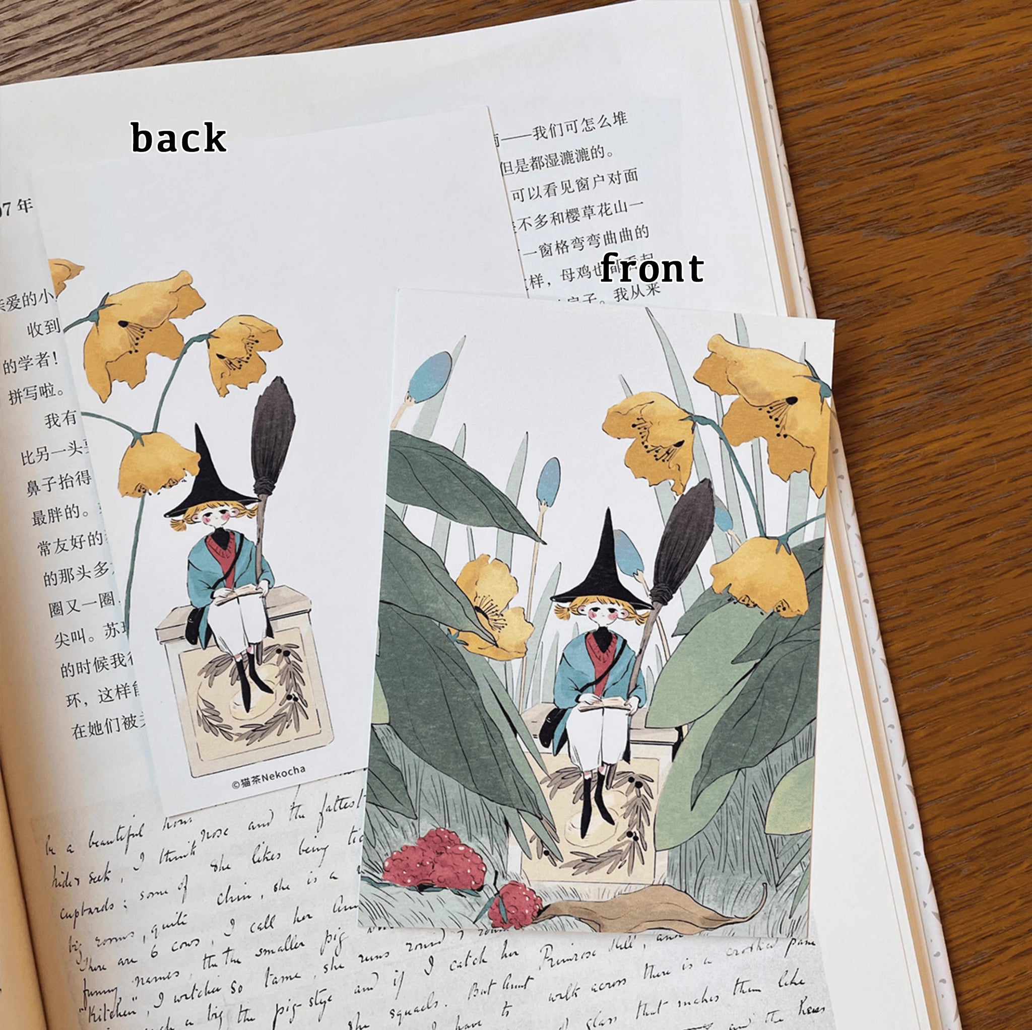Nekocha Postcards: The Borrower