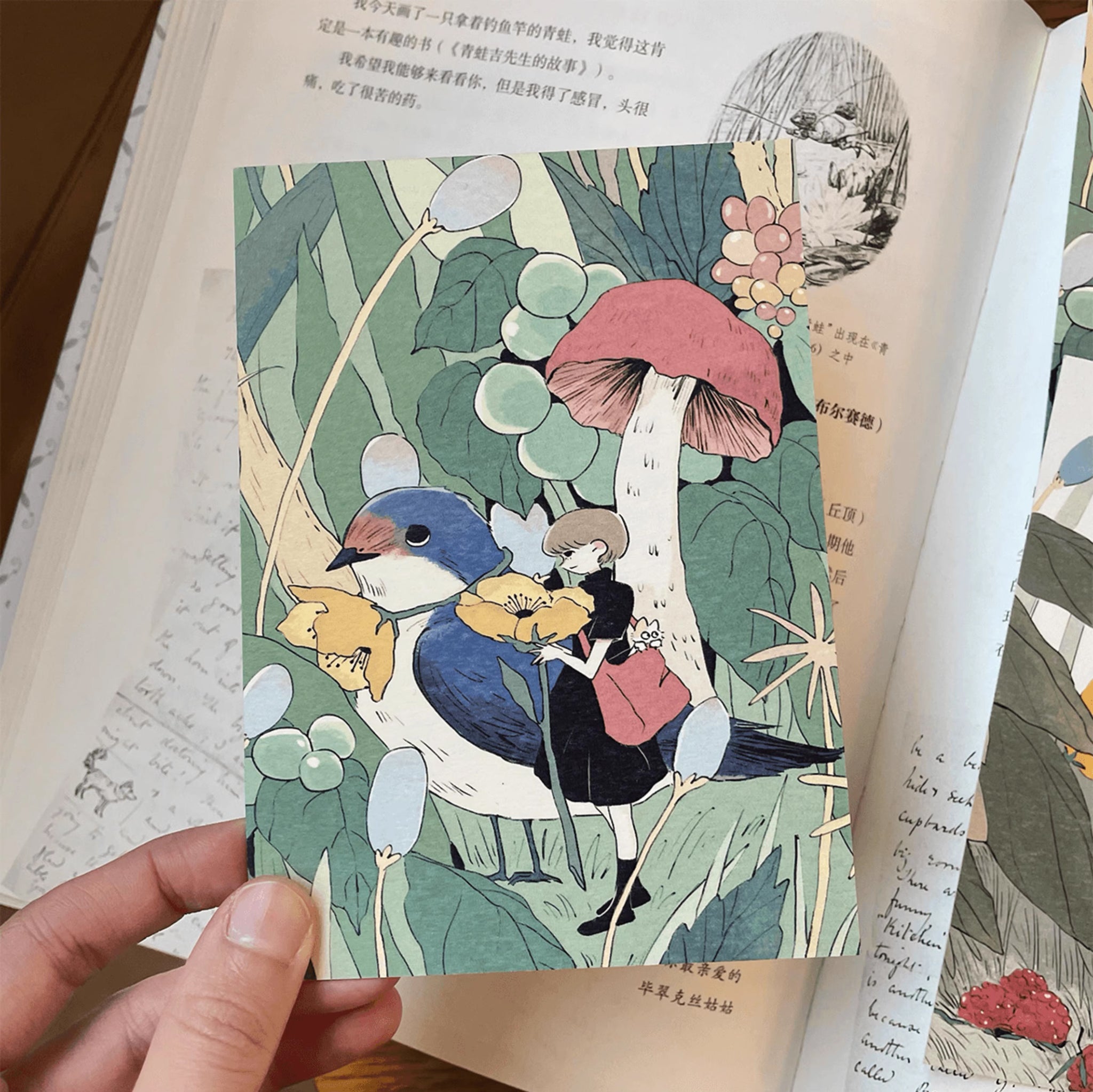 Nekocha Postcards: The Borrower