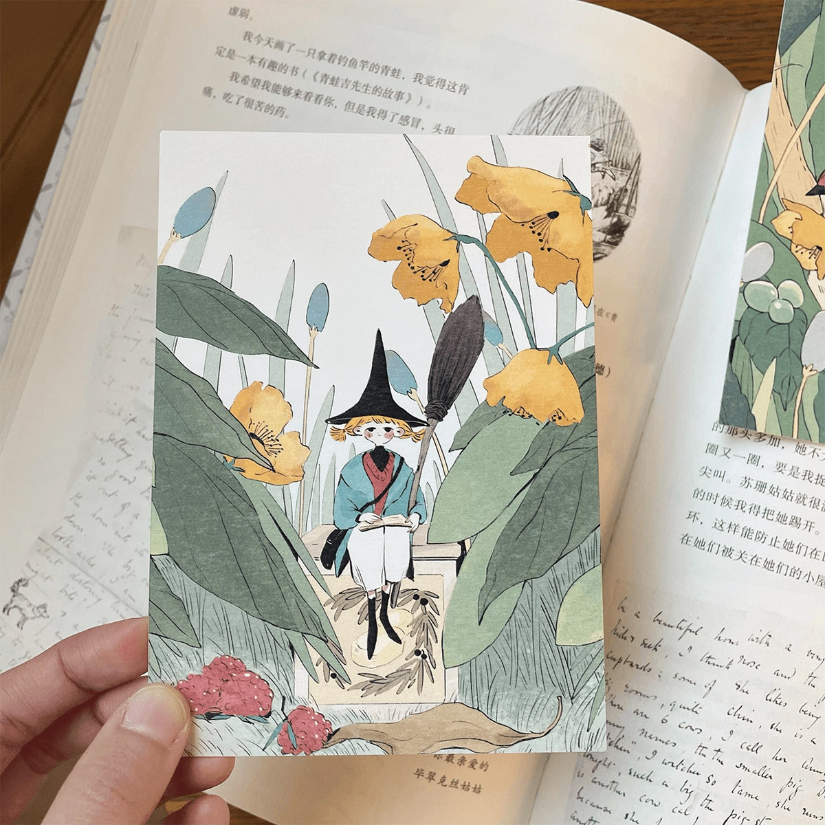Nekocha Postcards: The Borrower