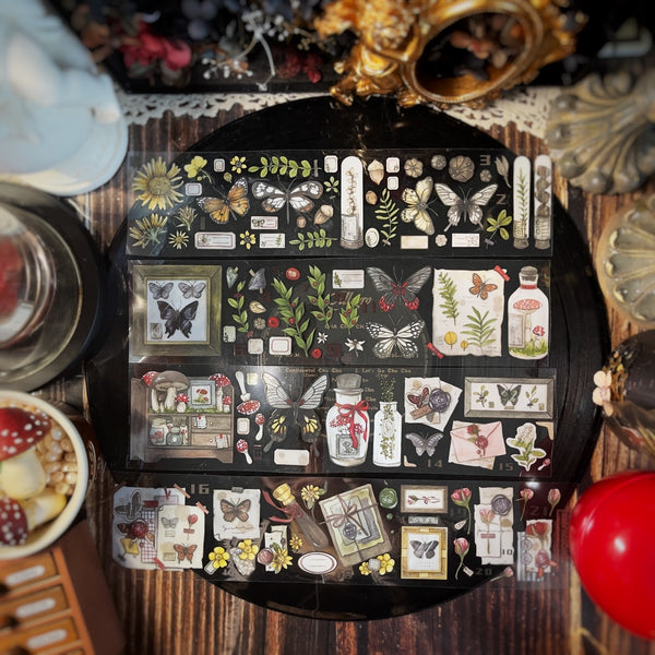 Neverland Clear Tape: Elegance & Records