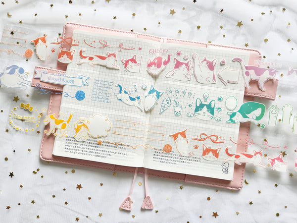 Frolicking Cats: Rainbow Playtime PET Tape