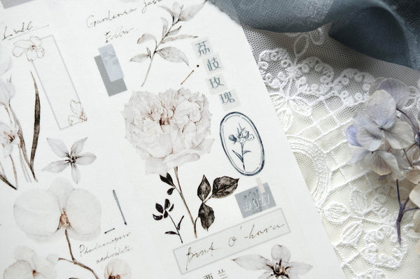 Freckles Tea VOL. 3: Plain White Mist Blue Masking Tape