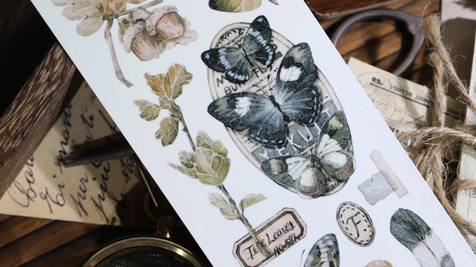 Tournesol Studio Masking Tape: Butterflies and Plants