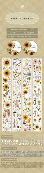 Benchu Studio Tape Sample: Born to the Sun