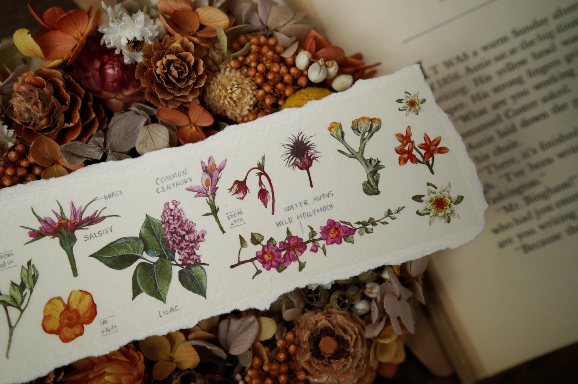 Benchu Studio Masking Tape: Botanist Specimen