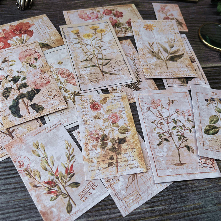 Botanical Illustrations Stickers Pack