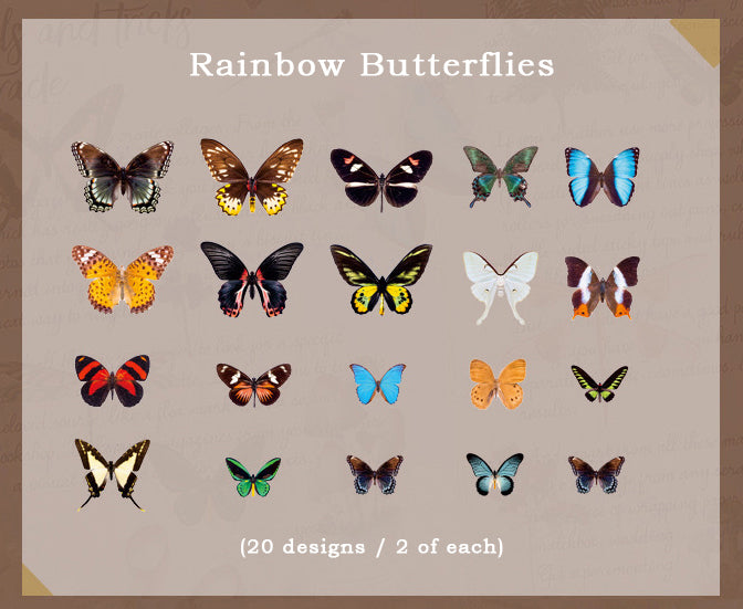 Butterfly Specimen Clear Stickers